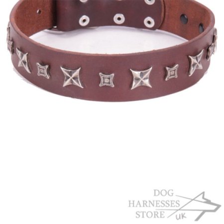 Brown Leather Dog Collar FDT Artisan "Stellar Fairy"