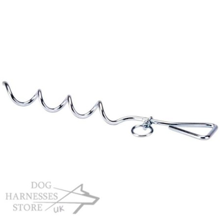 Corkscrew Dog Tie Out Stake