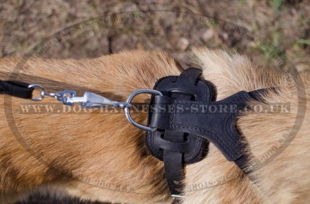 Large Breed Leather Dog Harness with Spikes