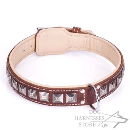 Brown Leather Studded Dog Collar "Pyramid"