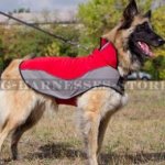 Warm Dog Coat for Belgian Tervuren Shepherd Walking