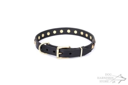 Thin Lightweight Dog Collar of Leather "Golden Elegance" Artisan