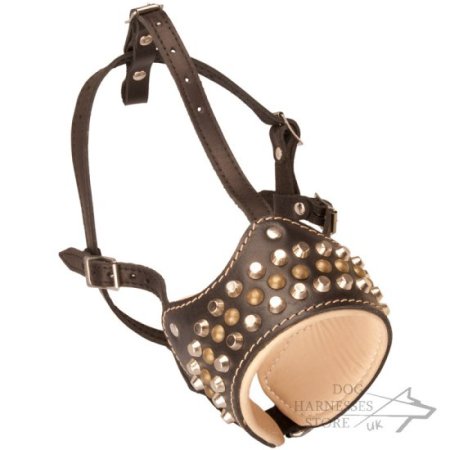 Muzzle for Amstaff of Leather and Nappa with Studs and Frustums