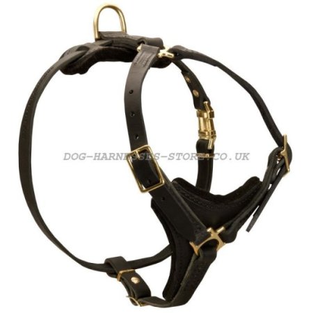 Leather Dog Harness for American Bulldog Walking and Tracking