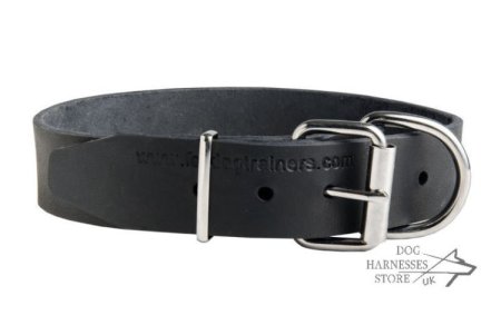 leather dog collar with nameplate uk