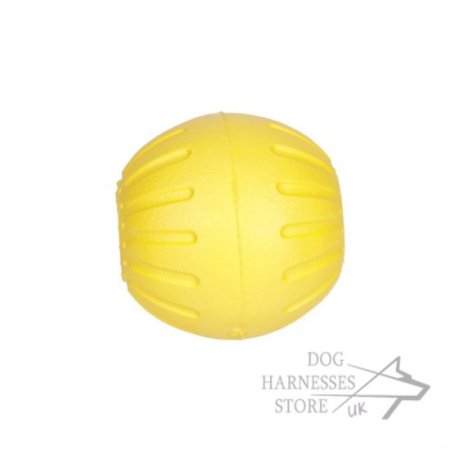 Hard Durable Dog Toy Ball Light-Weighted and Teeth Resistant