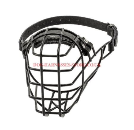 Basket Muzzle for Cane Corso with Antifreeze Rubber Covering