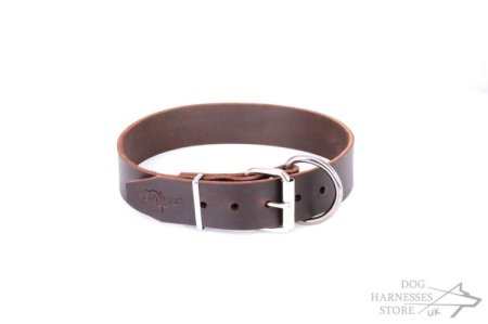 Brown Leather Dog Collar "Calm Walk" FDT Artisan