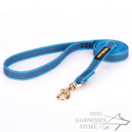 Heavy-Duty Nylon Dog Leash Non-Slip Design, Blue Color