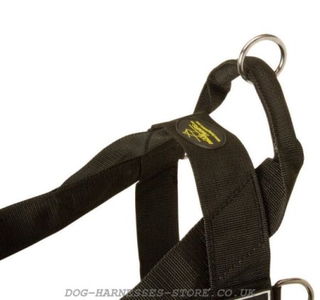 Best Harness for Neapolitan Mastiff Various Activities