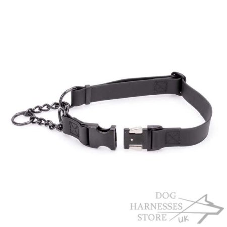 Biothane Martingale Dog Collar with Quick-Release Buckle