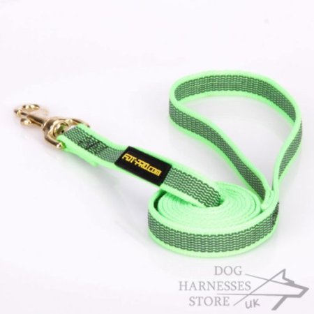 Basic Nylon Dog Leash with Non-Slipping Rubber Lines