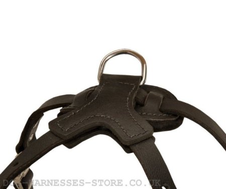 Large Breed Leather Dog Harness with Spikes