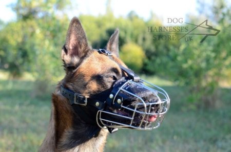 Long Nose Dog Muzzle with Leather Padding for Training and Walks