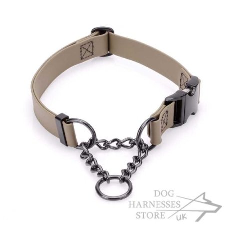 Martingale collar with 2025 chain and buckle