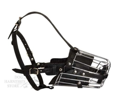 Long Nose Dog Muzzle with Leather Padding for Training and Walks