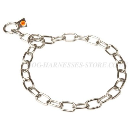 Labrador Chain Collar of Stainless Steel for Behavior Correction