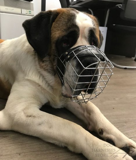 Saint Bernard Dog Muzzle of Wire - £36.90