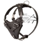 Leather Dog Harness for Walks with Medium Breeds UK