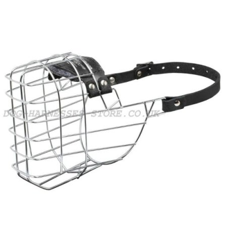 Bestseller! Basket Muzzle for Doberman Pinscher Daily Activities