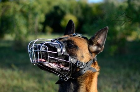 Long Nose Dog Muzzle with Leather Padding for Training and Walks