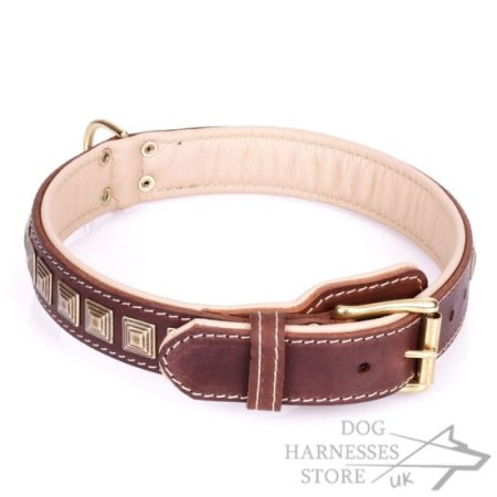 Brown Leather Dog Collar with Brass Studs "Pyramid"