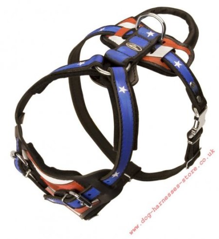 St Bernard Dog Harness Leather "American Pride"