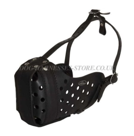 Leather Pitbull Muzzle with Reinforcement for Agitation