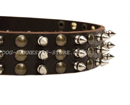 Boxer Leather Dog Collar Spiked and Studded Trendy Design