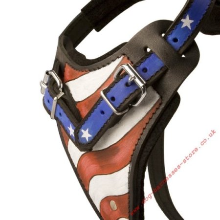 St Bernard Dog Harness Leather "American Pride"