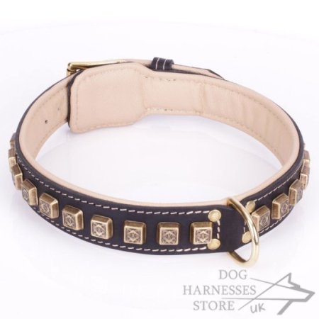 Thick Black Leather Dog Collar with Brass Cubes