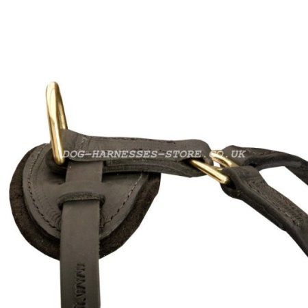 Leather Dog Harness for American Bulldog Walking and Tracking