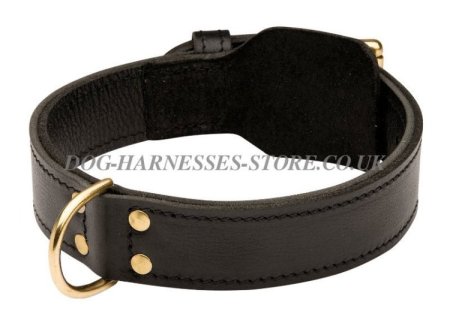 Doberman Pinscher Leather Collar Double Thick for Strong Dogs