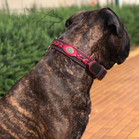 Bullmastiff Dog Collar of Unique Design "Heavy Fire"