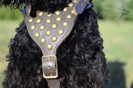 Black Russian Terrier Harness of Luxury Design and Top Quality