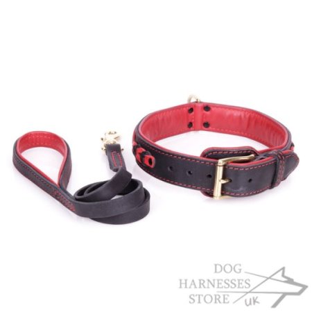 Handmade Leather Dog Collar and Leash Exclusive Set "Heavy Fire"