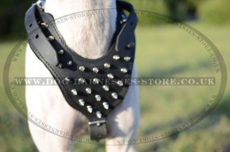 Large Breed Leather Dog Harness with Spikes