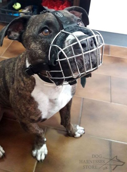 Wire Basket Dog Muzzle for Pitbull Daily Activities, Bestseller!