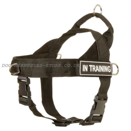 Best Harness for Neapolitan Mastiff Various Activities