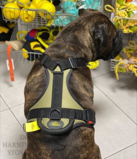 Strong Nylon Dog Harness of Khaki Colour for Walking