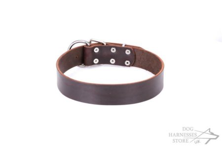 Brown Leather Dog Collar "Calm Walk" FDT Artisan