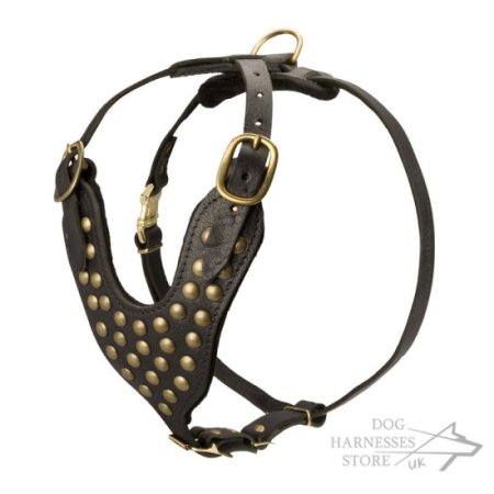 Black Russian Terrier Harness of Luxury Design and Top Quality