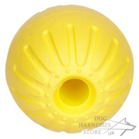 Hard Durable Dog Toy Ball Light-Weighted and Teeth Resistant