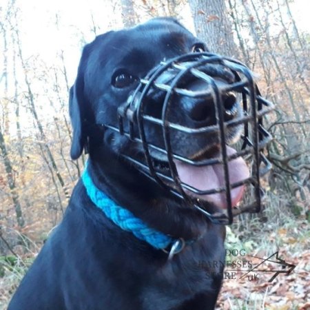 Labrador Basket Muzzle Rubber Covered for Winter and Summer