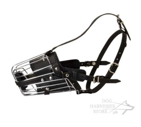 Long Nose Dog Muzzle with Leather Padding for Training and Walks