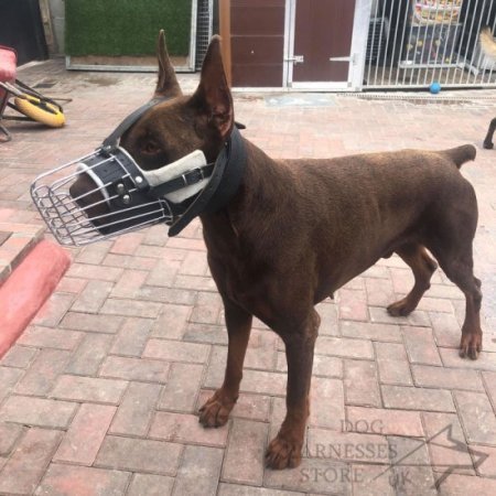 Long Nose Dog Muzzle with Leather Padding for Training and Walks