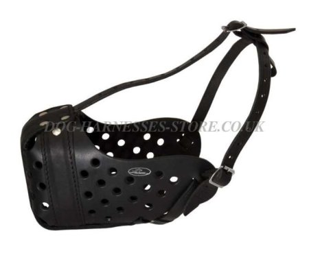 Leather Pitbull Muzzle with Reinforcement for Agitation