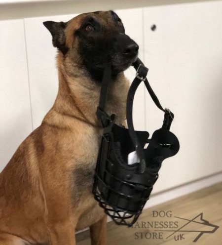 Belgian Malinois Basket Muzzle with Rubber Cover and Leather