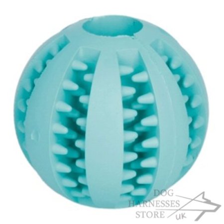 Dog Dental Ball with Menthol Smell for Training and Play