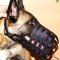 Belgian Malinois Leather Muzzle for Everyday Use